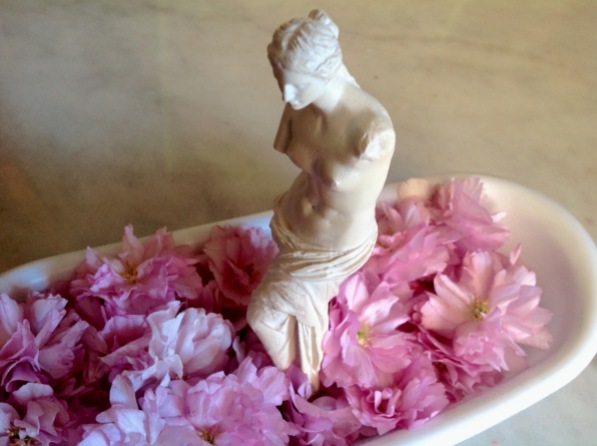 Aphrodite bain de fleurs